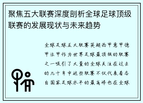 聚焦五大联赛深度剖析全球足球顶级联赛的发展现状与未来趋势